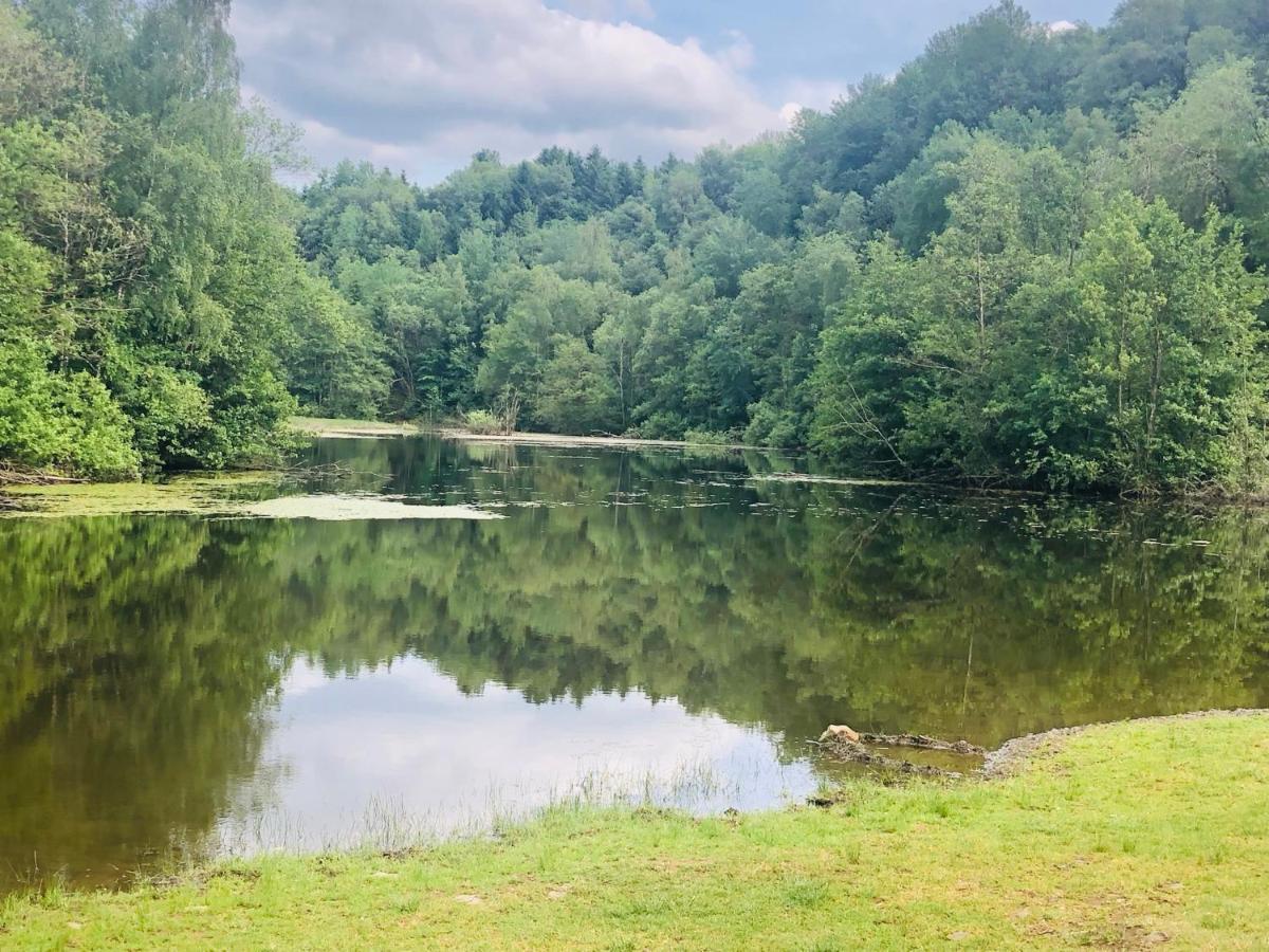Gemuetliche Fewo Naehe Hachenburg, Bad Marienberg Langenbach bei Kirburg Dış mekan fotoğraf