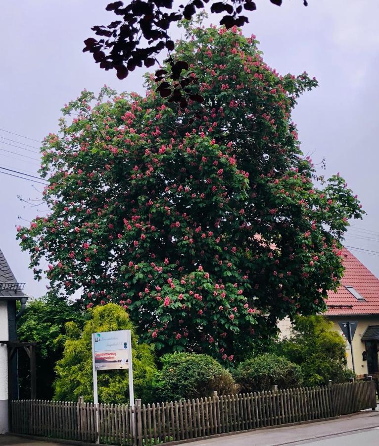Gemuetliche Fewo Naehe Hachenburg, Bad Marienberg Langenbach bei Kirburg Dış mekan fotoğraf